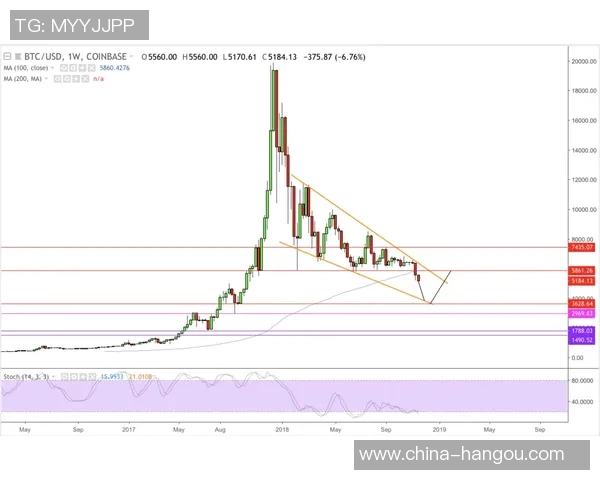 足球明星训练时佩戴的手套背后的科技与设计揭秘